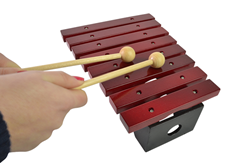 8 Note Xylophone with Dual Beaters by Bryce